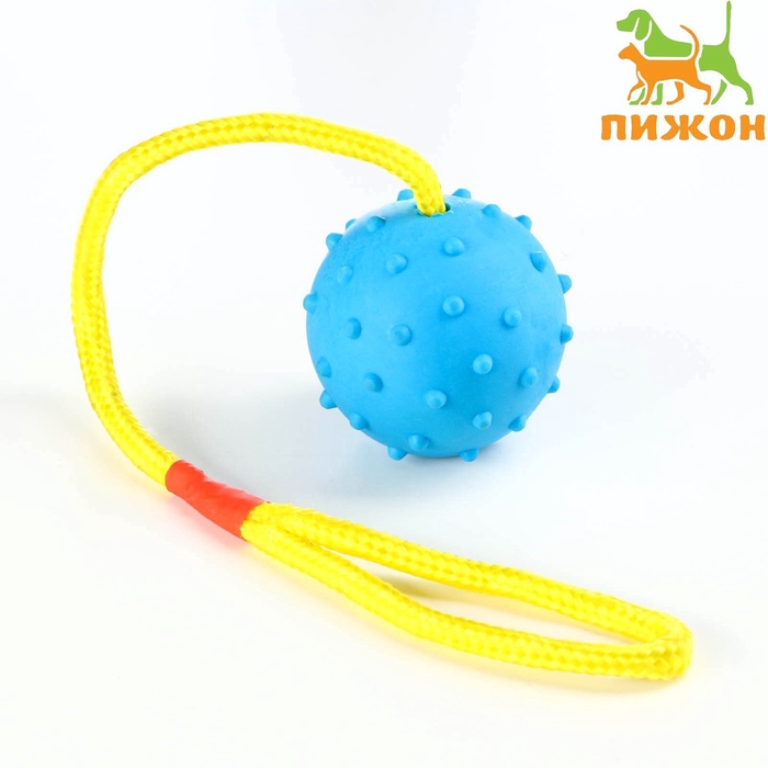 Игрушка для собак, мяч на веревке, 6 см, синяя