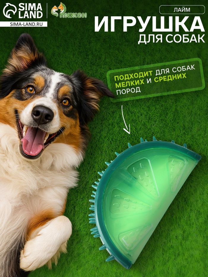 Игрушка охлаждающая для собак «Лайм», 12.5 см, TPR