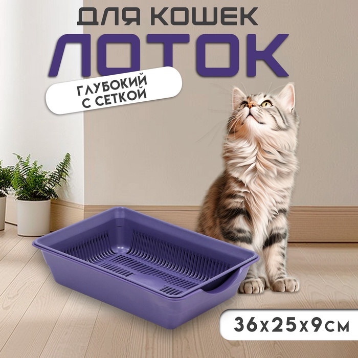 Туалет для кошек, 36×25×9 см, глубокий, с сеткой, пластик, фиолетовый