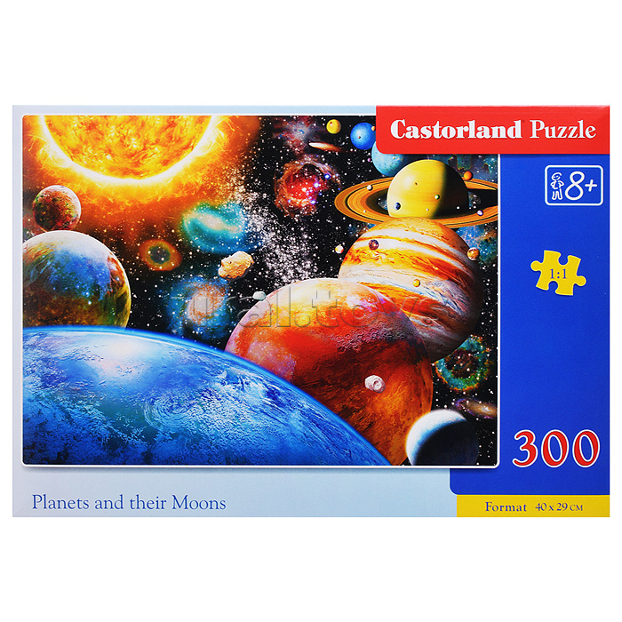 Пазлы 300