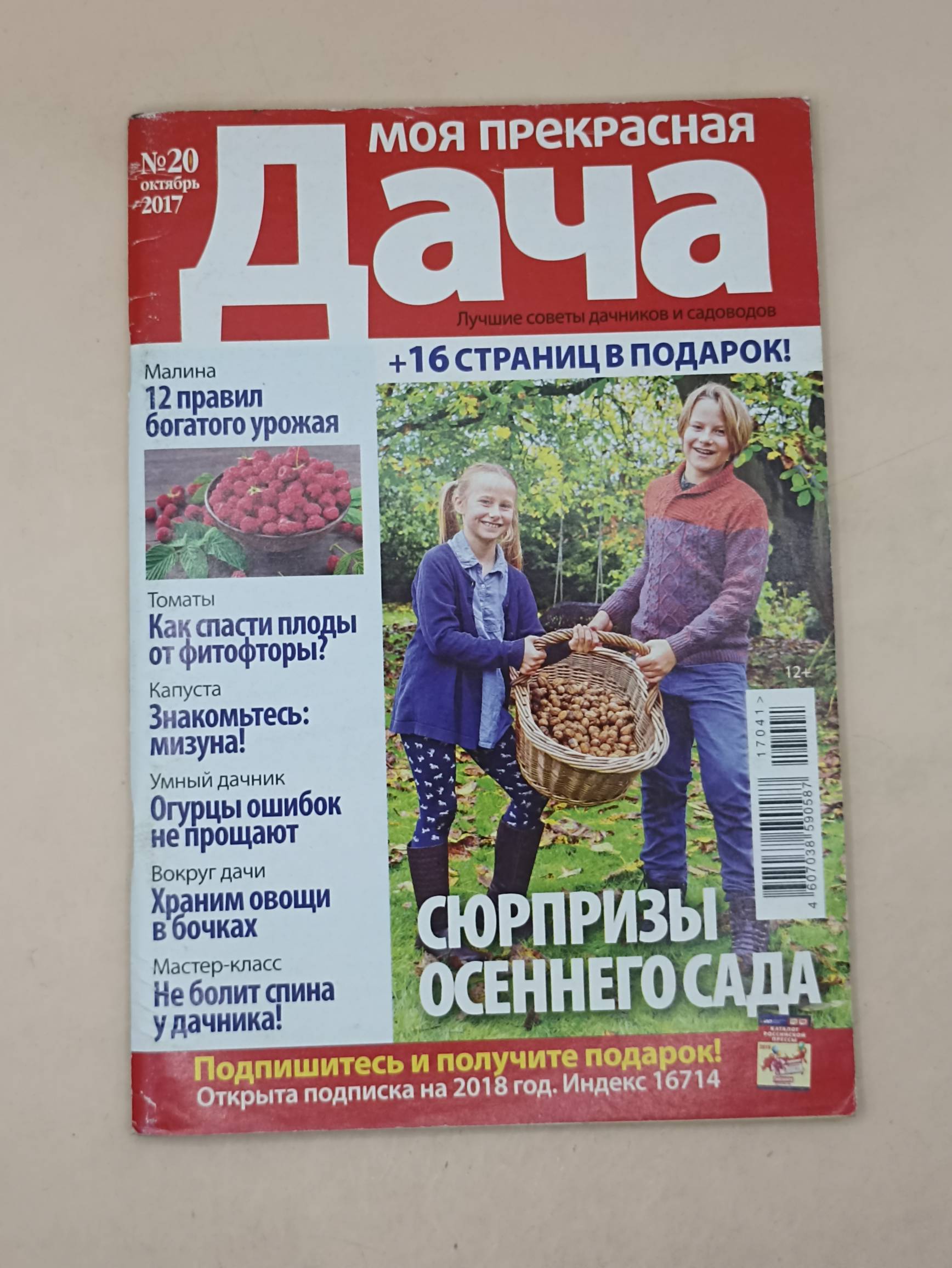 Моя прекрасная дача