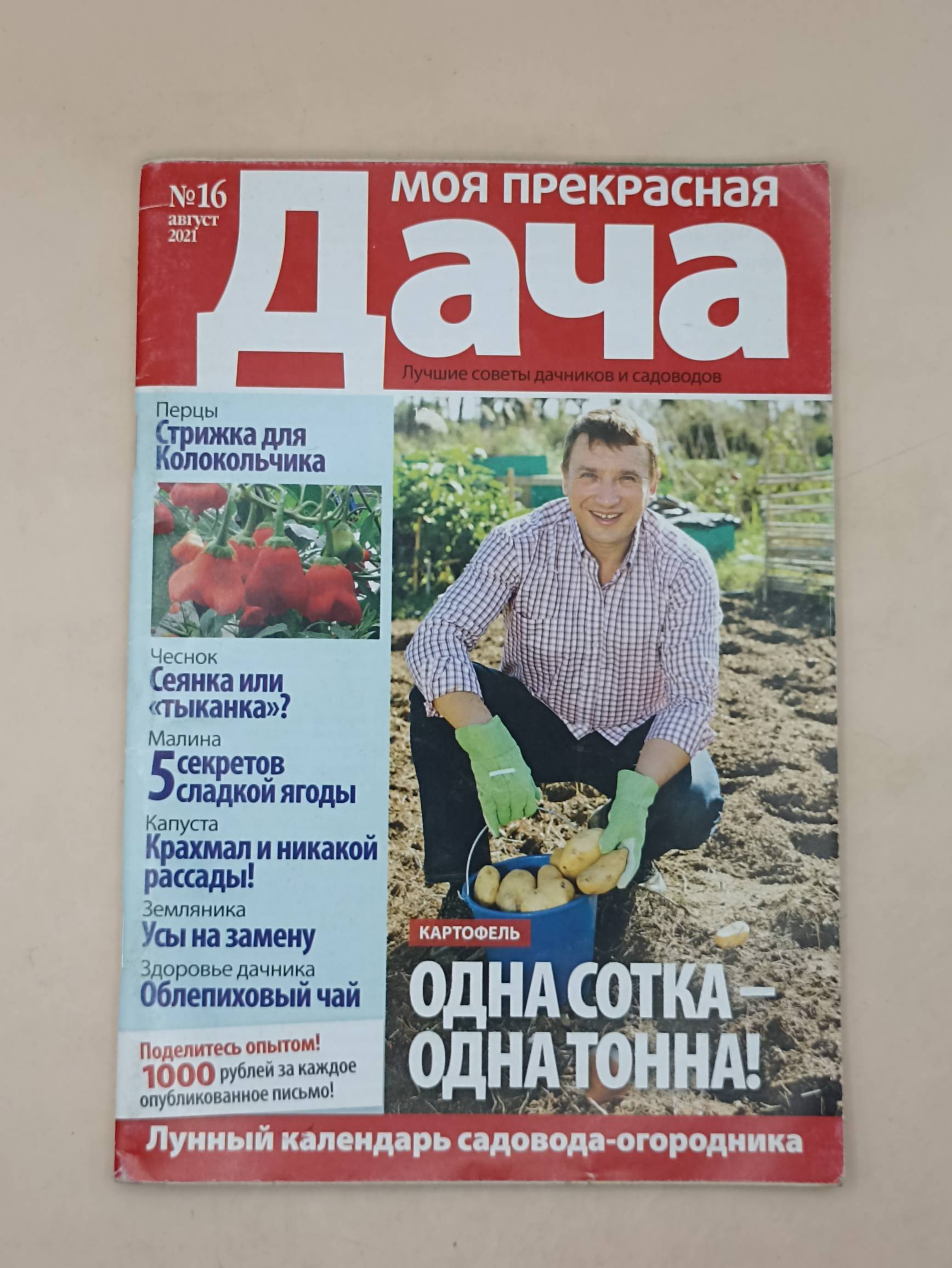 Моя прекрасная дача