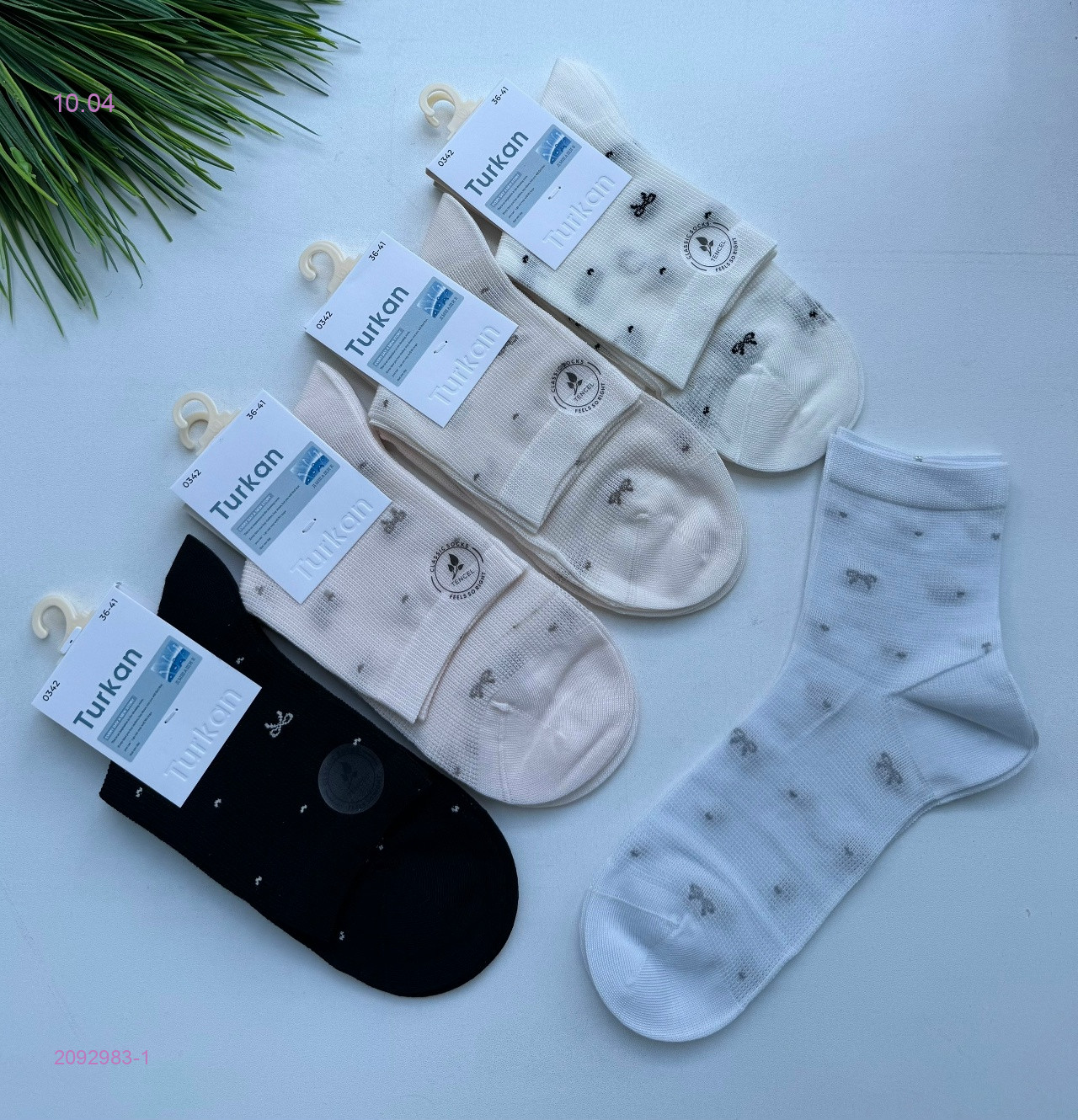 Носки женские 10 пар 2092983-1