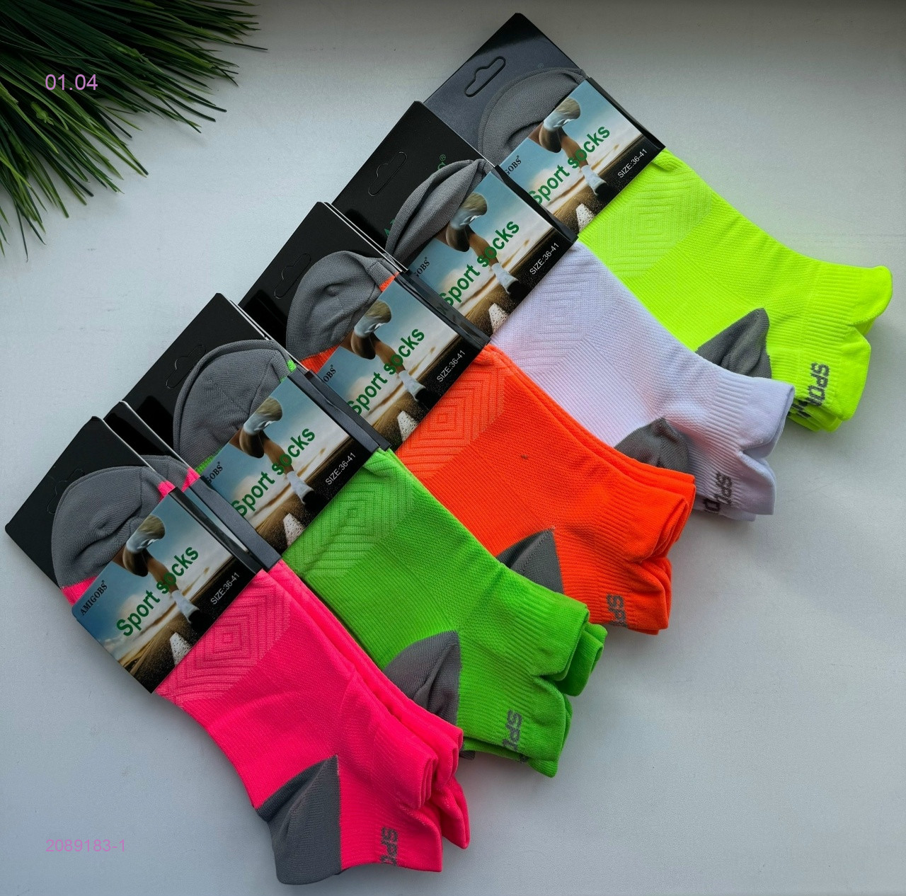 Носки женские 10 пар 2089183-1