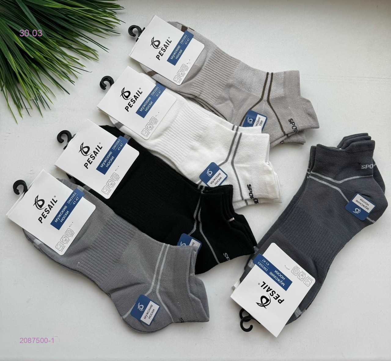 Носки мужские 10 пар 2087500-1