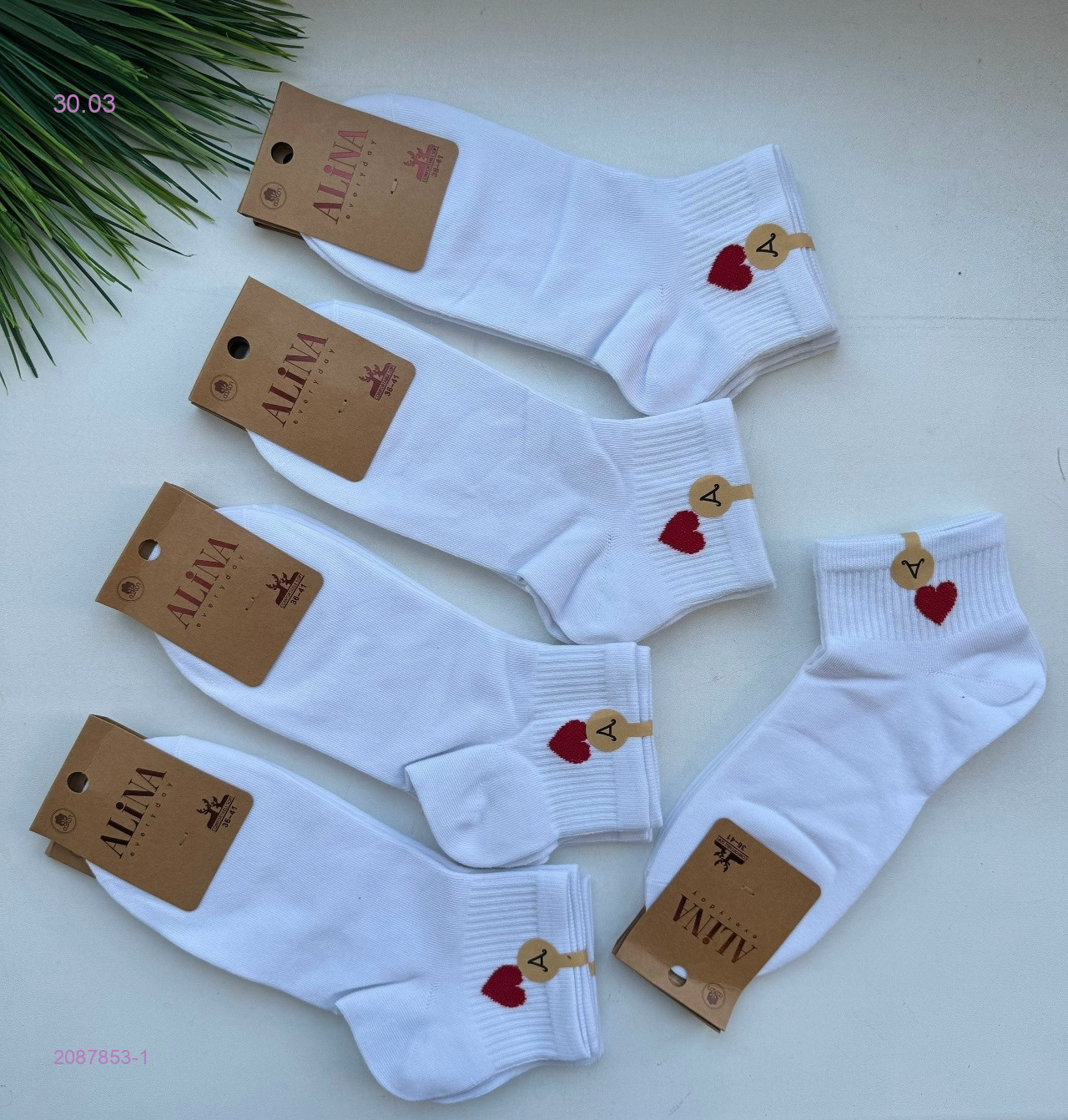 Носки женские 10 пар 2087853-1