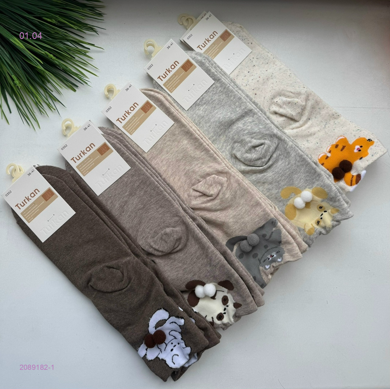 Носки женские 10 пар 2089182-1
