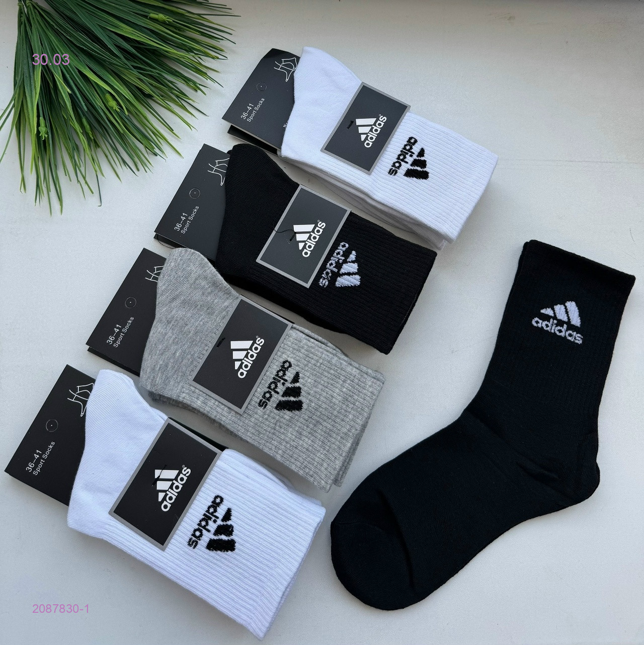 Носки женские 10 пар 2087830-1