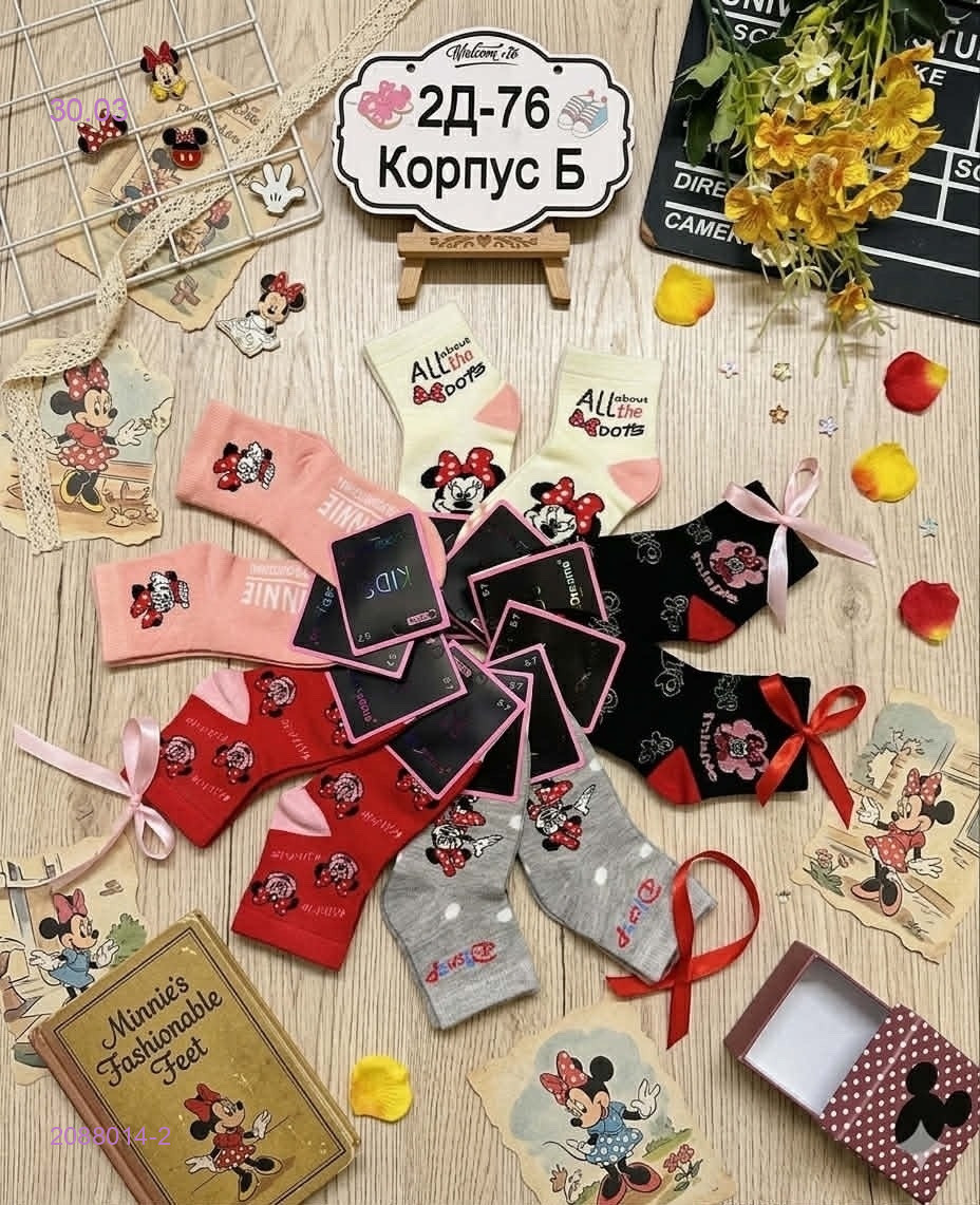 носки10 пар 2088014-2