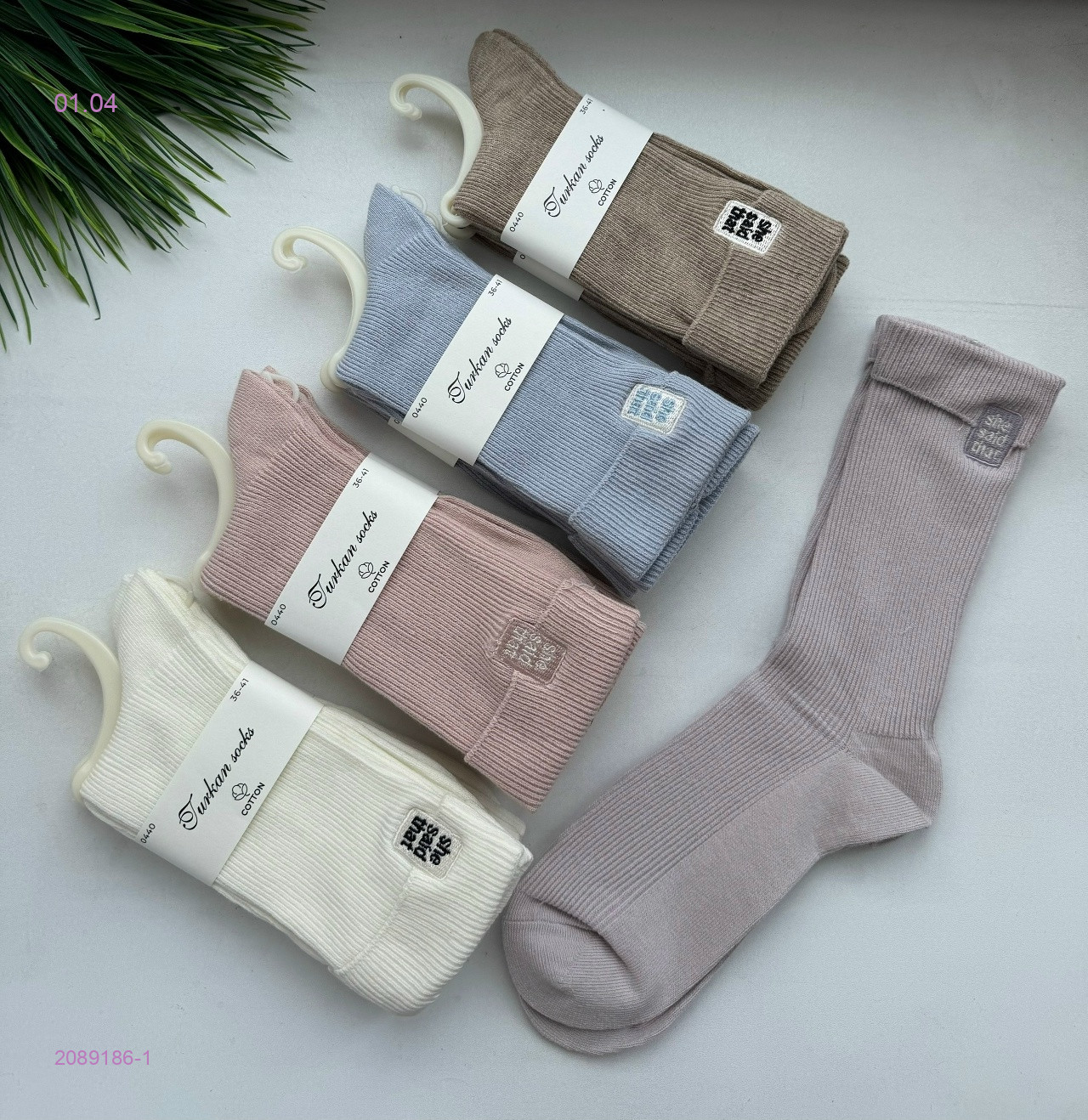 Носки женские 10 пар 2089186-1