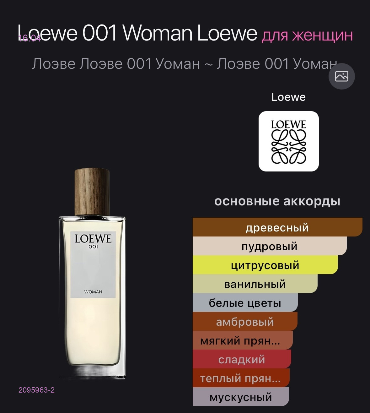 Loewe solo 2095963-2