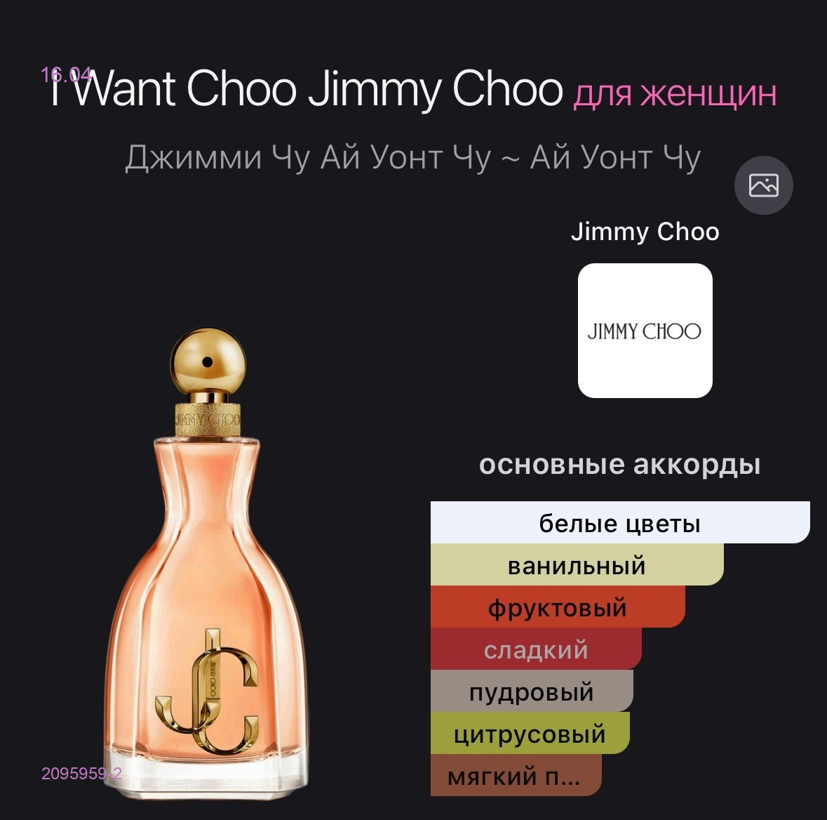 JIMMY CHOO 2095959-2