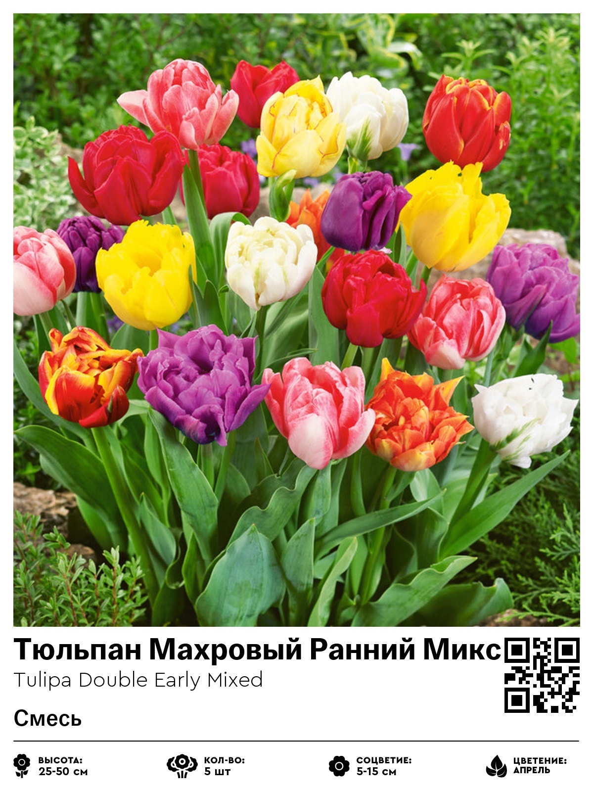 Тюльпан Махровый Ранний Микс (Смесь)