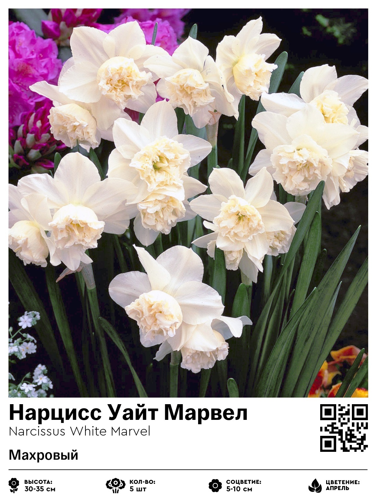 Нарцисс Уайт Марвел (Махровый)