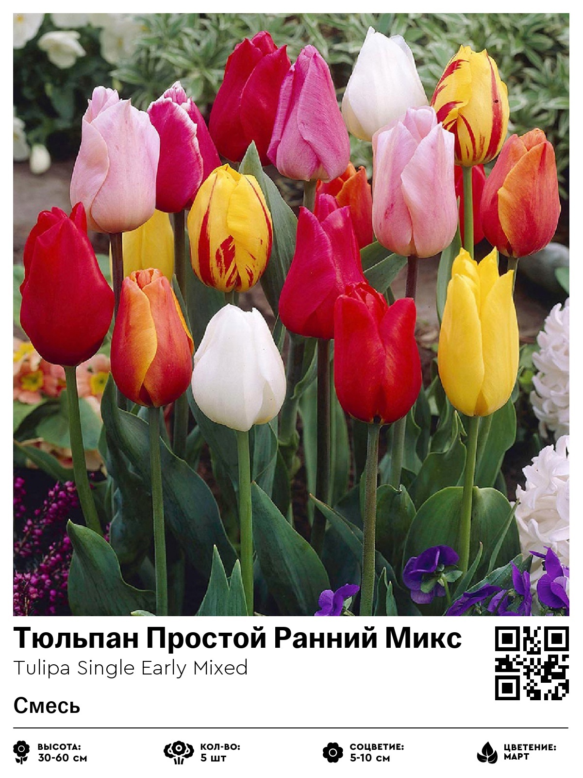 Тюльпан Простой Ранний Микс (Смесь)
