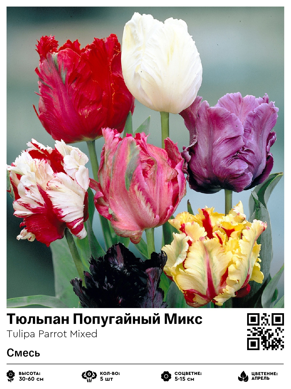 Тюльпан Попугайный Микс (Смесь)