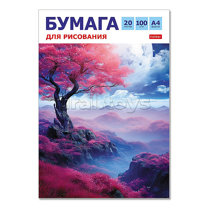 Бумага для рисования 20л А4ф 100г/кв.м в папке тиснение