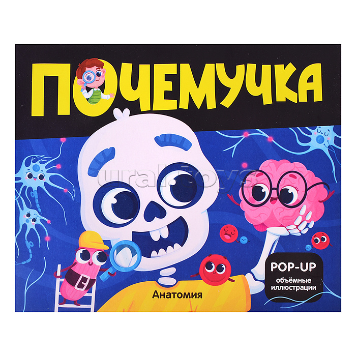 Почемучка. Анатомия