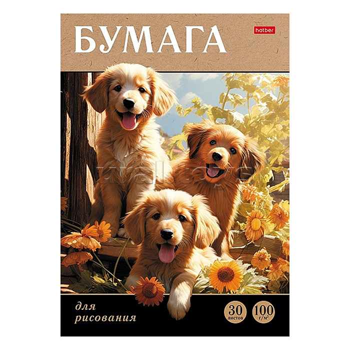 Набор бумаги для рисования 30л А4ф 100г/кв.м в папке обл. мел.картон тиснение