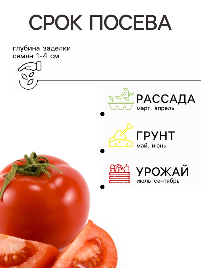 Семена Томат «Сто пудов», индетерминантный, высокорослый, 20 шт., «Аэлита»