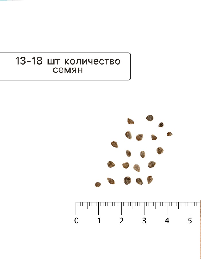 Семена Томат «Ляна», серия «Лидер», среднеспелый, детерминантный, низкорослый 0.2 г, «АЭЛИТА»