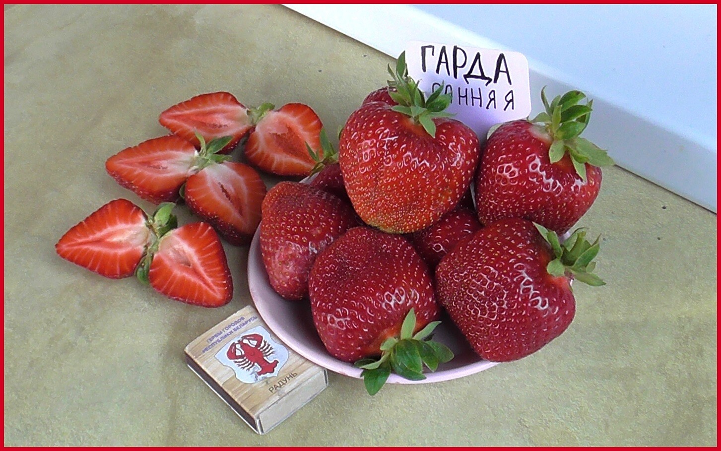 Клубника Гарда