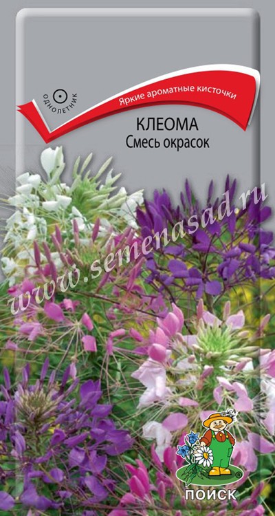 Клеома смесь 1г