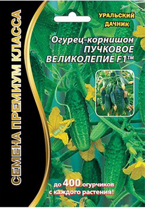 огурец Пучковое великолепие F1 - 5 сем. (до 400 огурчиков с куста)