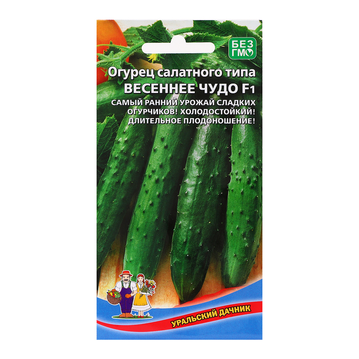 Семена огурец «Весеннее чудо», 10 шт.