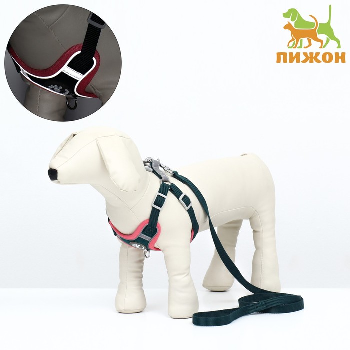 Комплект Sport+, М, поводок 120 x 1,5 см, ОШ 44-48 см, ОГ 51-60 см, розово - чёрный