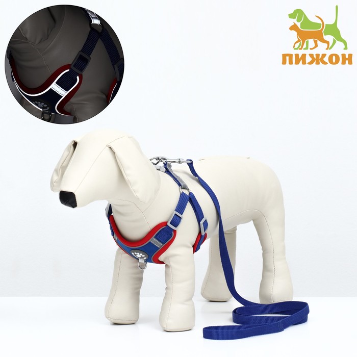 Комплект Sport+, L, поводок 120 x 1,5 см, ОШ 49-56 см, ОГ 56-68 см, вес животного 20-28 кг, синий 9