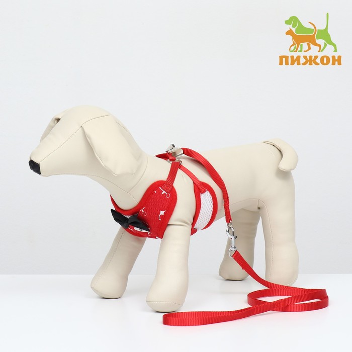 Комплект с мягкой шлейкой и бантиком