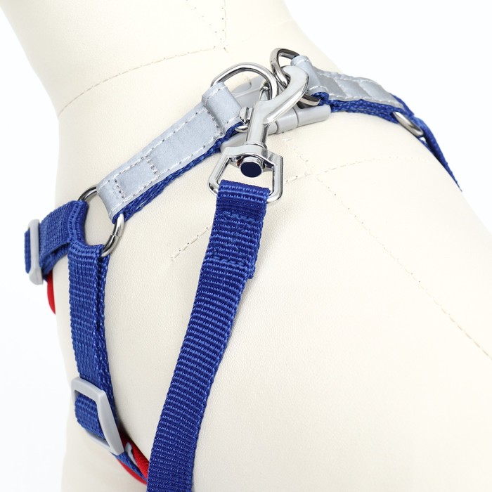 Комплект Sport+, L, поводок 120 x 1,5 см, ОШ 49-56 см, ОГ 56-68 см, вес животного 20-28 кг, синий 9