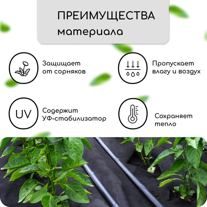 Материал мульчирующий, с перфорацией, 5×0.8 м, плотность 80 г/м², спанбонд с УФ-стабилизатором, чёрный, Greengo, Эконом 30%