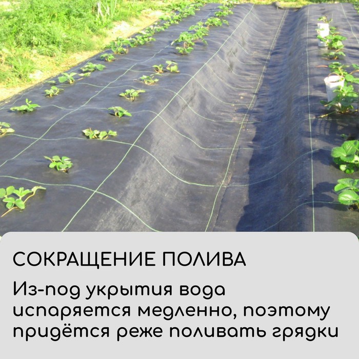 Агроткань застилочная, с разметкой, 5×1.6 м, плотность 100 г/м², полипропилен, Greengo, Эконом 50%