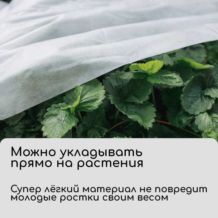 Материал укрывной, 10×2.1 м, плотность 30 г/м², белый, спанбонд с УФ-стабилизатором, Greengo, Эконом 30%