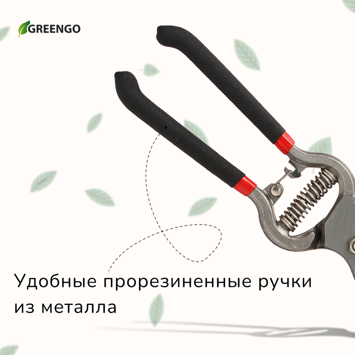 Секатор плоскостной, 10