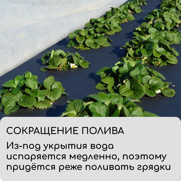 Материал мульчирующий, 10×3.2 м, плотность 80 г/м², спанбонд с УФ-стабилизатором, чёрный, Greengo, Эконом 30%