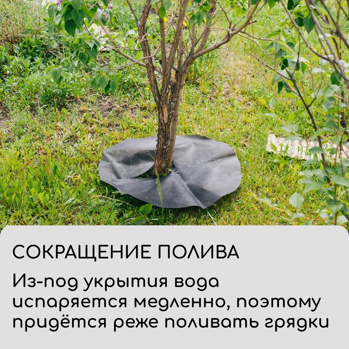 Круг приствольный, d=1 м, плотность 60 г/м², спанбонд с УФ-стабилизатором, набор 2 шт., чёрный, Greengo, Эконом 20%