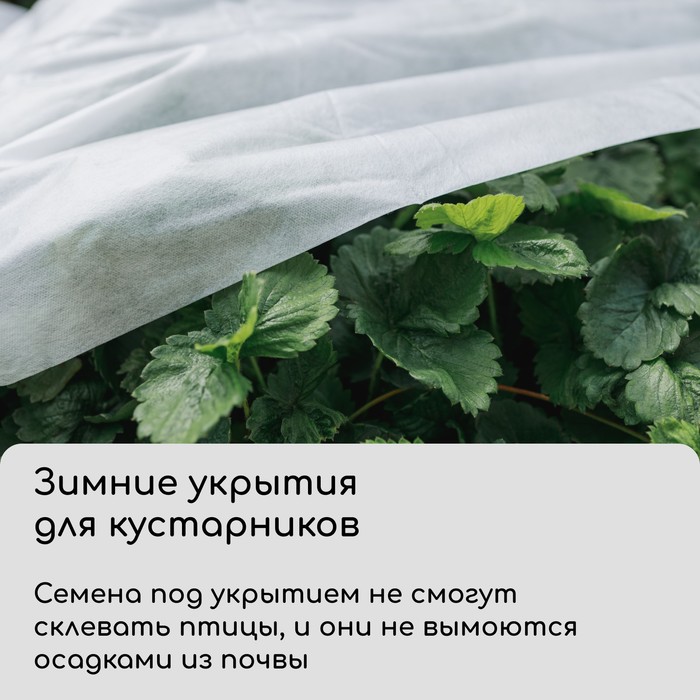 Материал укрывной, 5×3.2 м, плотность 42 г/м², спанбонд с УФ-стабилизатором, белый, Greengo, Эконом 30%