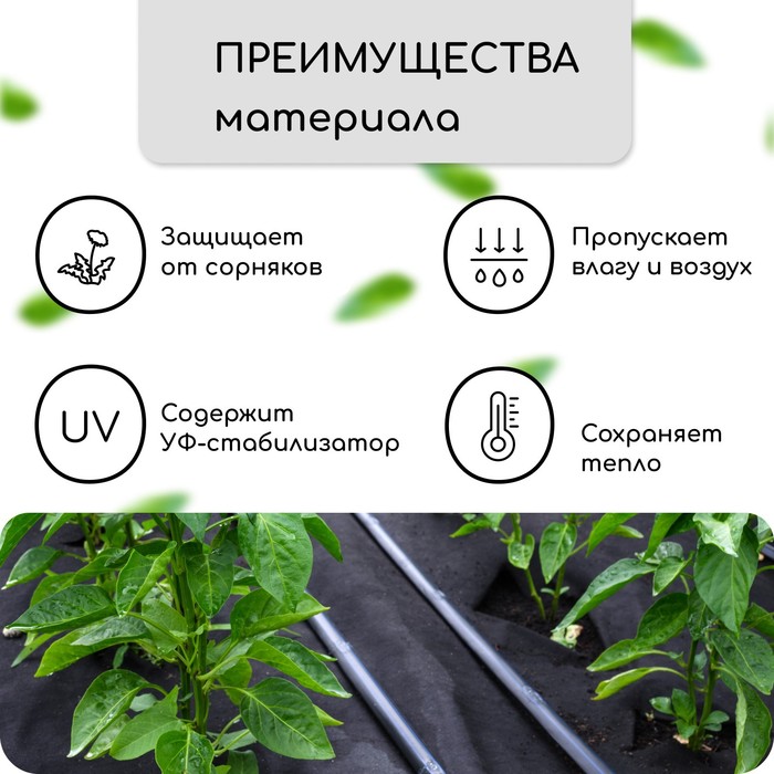 Материал мульчирующий, с перфорацией, 5×1.6 м, плотность 80 г/м², спанбонд с УФ-стабилизатором, 4 ряда перфорации, чёрный, Greengo, Эконом 30%