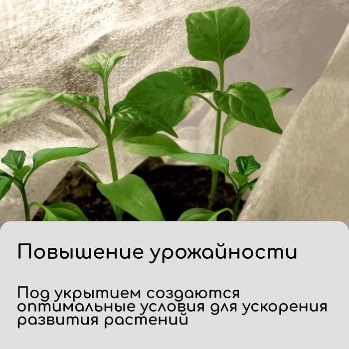 Материал укрывной, 10×1.6 м, плотность 20 г/м², спанбонд с УФ-стабилизатором, белый, Greengo, Эконом 30%