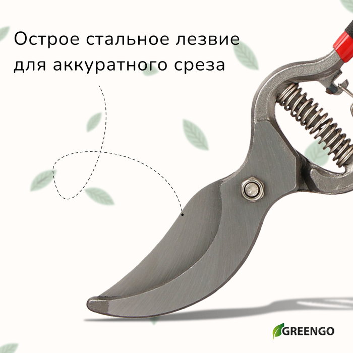 Секатор плоскостной, 10
