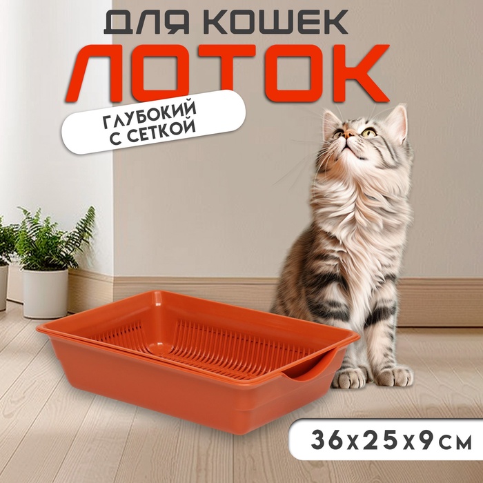 Туалет для кошек, 36×25×9 см, глубокий, с сеткой, пластик, коричневый