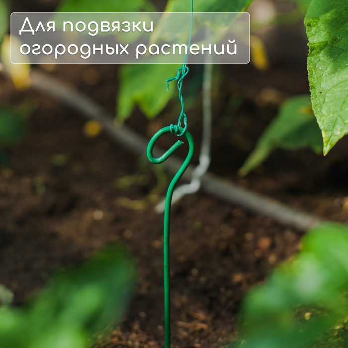 Колышек для подвязки растений, h=40 см, d=3 мм см, проволочный, зелёный, Greengo
