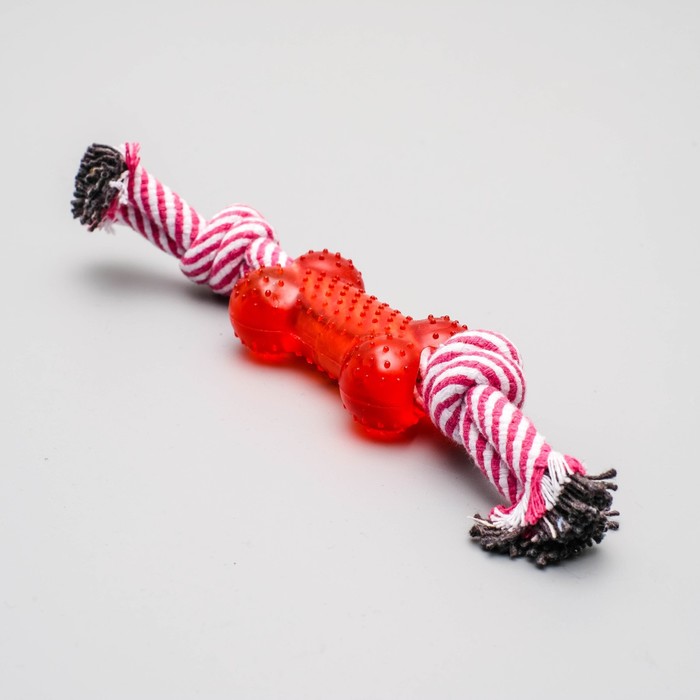 Игрушка канатная, с косточкой, до 90 г, до 26 см, цвет МИКС