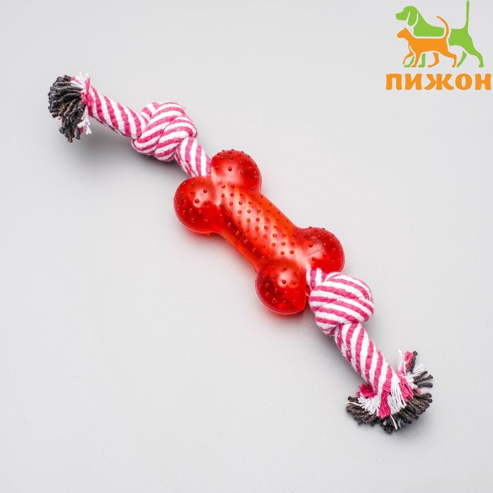 Игрушка канатная, с косточкой, до 90 г, до 26 см, цвет МИКС