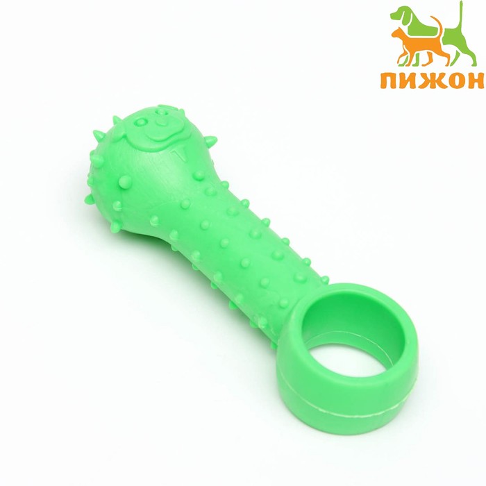 Игрушка-дразнилка для собак «Поймай меня!», 9.5 см, TPR, зелёная