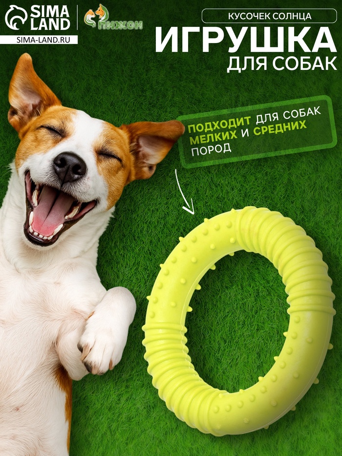 Жевательная игрушка для собак «Кусочек солнца», 8 см, TPR, салатовая