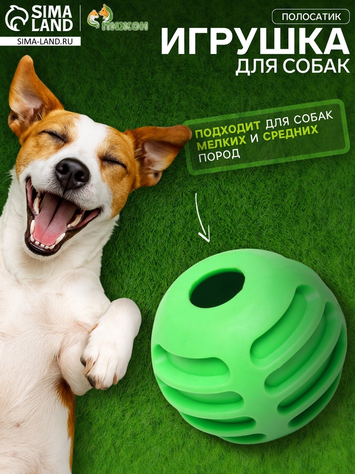 Мяч для собак «Полосатик», 6 см, рифлёный, TPR, зелёный